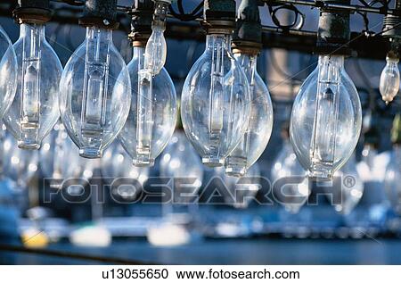 Stock Image - Rows Of Lightbulbs. Fotosearch