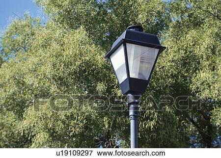 Streetlight View Large Photo Image Stock Photo - Streetlight. Fotosearch