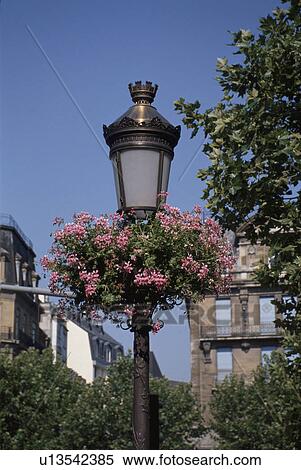 Streetlight View Large Photo Image Stock Photography - Streetlight. Fotosearch