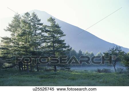 Odashirogahara Meadows View Large Photo Image Stock Photography - Odashirogahara Meadows. Fotosearch