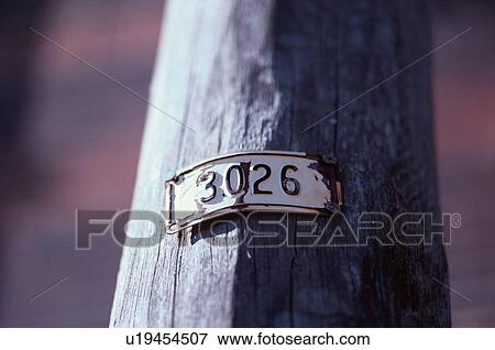 Pole With Numbers 3026 View Large Photo Image Stock Photo - Pole With Numbers 3026. Fotosearch