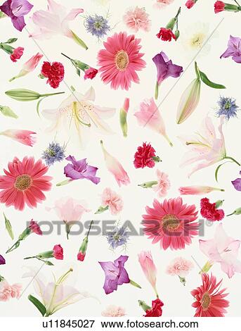 Stock Photo - Assortment Of Flowers. Fotosearch