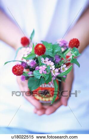 A woman holding flower bouquet in can View Large Photo Image Stock Photography - A woman holding flower bouquet in can. Fotosearch