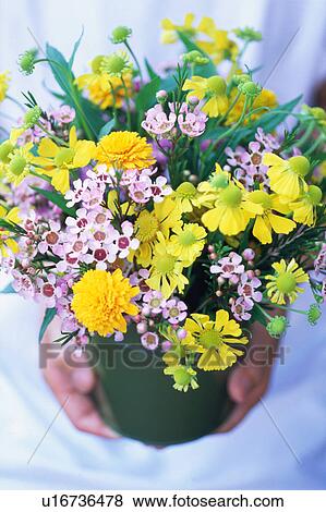 A woman holding flower bouquet in vase View Large Photo Image Stock Photo - A woman holding flower bouquet in vase. Fotosearch