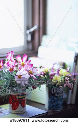 Stock Image - Cosmos. Fotosearch