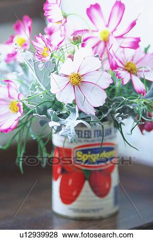 Stock Photo - Cosmos. Fotosearch