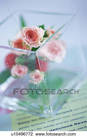 Flower bouquet in glass box View Large Photo Image Stock Image - Flower bouquet in glass box. Fotosearch