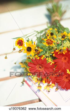Stock Image - Flower bouquet. Fotosearch