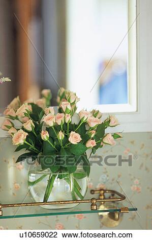 Pink roses View Large Photo Image Stock Image - Pink roses. Fotosearch