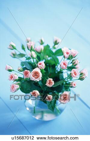 Stock Image - Pink roses. Fotosearch