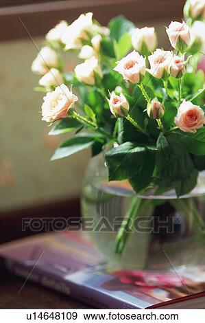 Stock Photo - Pink roses. Fotosearch