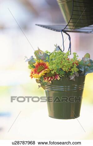 Potted flowers hanging View Large Photo Image Stock Photo - Potted flowers hanging . Fotosearch