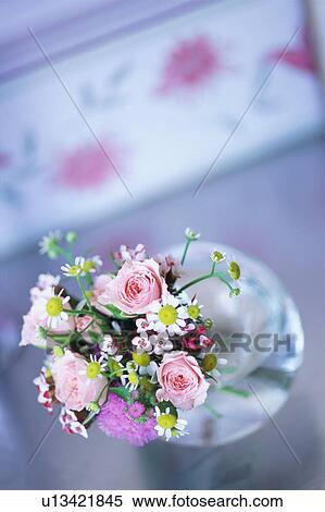 Roses View Large Photo Image Stock Photography - Roses. Fotosearch