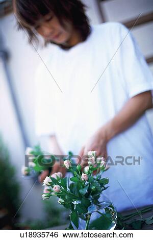 Stock Photograph - Young adult woman arranging flower. Fotosearch