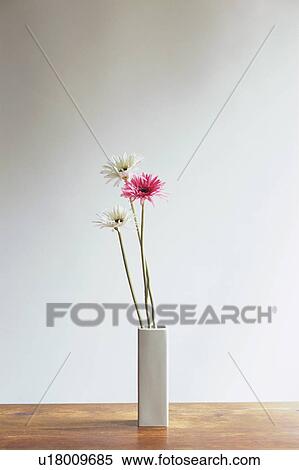Stock Photography - Flower in vase. Fotosearch