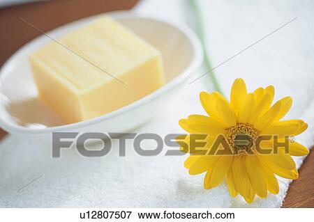 Stock Photo - Gerbera and soap. Fotosearch