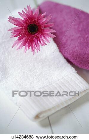 Stock Photo - Gerbera and towels. Fotosearch