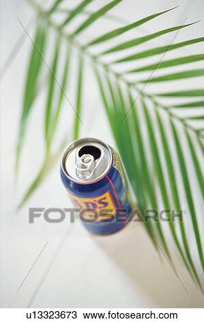 Stock Image - Palm leaf and can. Fotosearch
