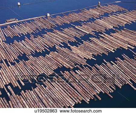 Aerial view of large group of wooden logs in river View Large Photo Image Stock Image - Aerial view of large group of wooden logs in river. Fotosearch
