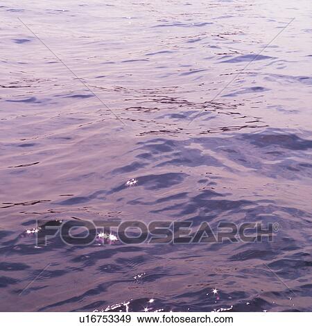 Placid water surface View Large Photo Image Stock Photo - Placid water surface. Fotosearch