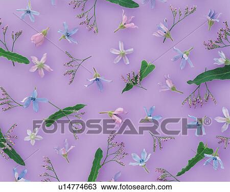 Assorted flower heads View Large Photo Image Stock Image - Assorted flower heads. Fotosearch
