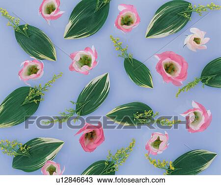 Beautiful lisianthus View Large Photo Image Stock Image - Beautiful lisianthus. Fotosearch