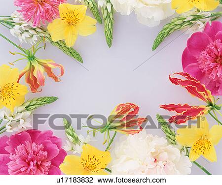 Stock Image - Flower Border. Fotosearch