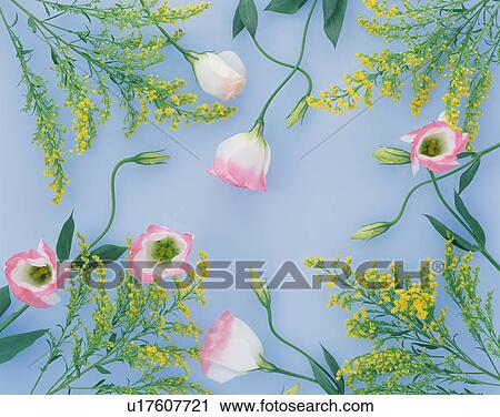 Flower Border View Large Photo Image Stock Image - Flower Border. Fotosearch