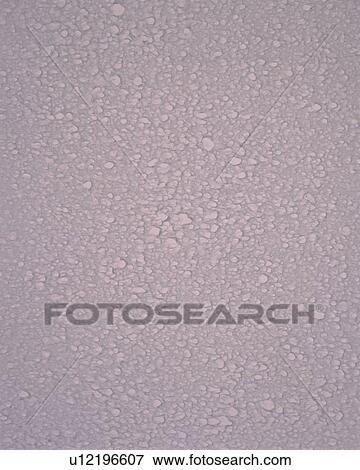 Stock Photo - Rice Paper. Fotosearch