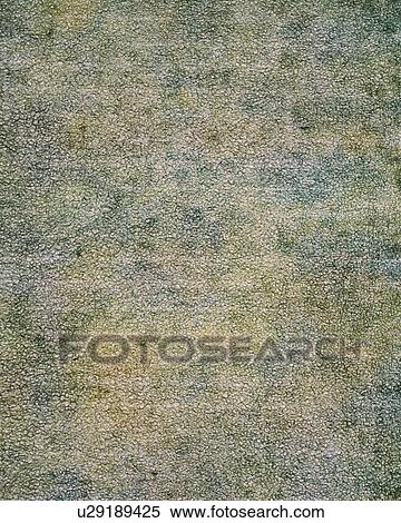 Stock Photography - Rice Paper. Fotosearch