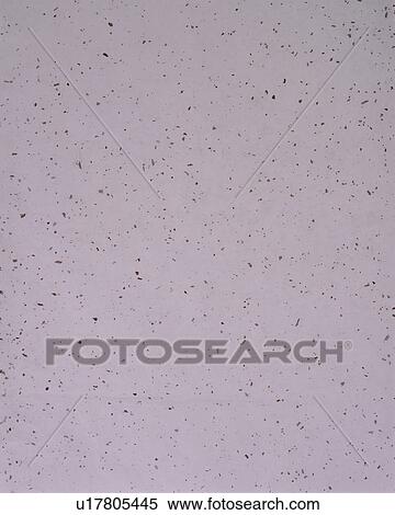White Rice Paper View Large Photo Image Stock Photography - White Rice Paper. Fotosearch