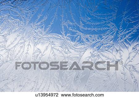 Detail of Leaf Pattern on Window View Large Photo Image Stock Image - Detail of Leaf Pattern on Window. Fotosearch