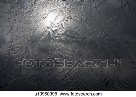 Detail of Leaf Pattern on Window View Large Photo Image Stock Photo - Detail of Leaf Pattern on Window. Fotosearch