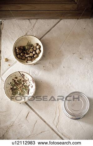 Stock Image - Detail of cat food dishes and a can of cat food. Fotosearch