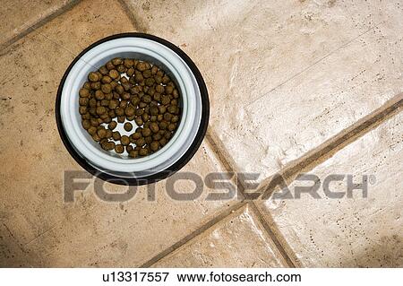 Dog food bowl View Large Photo Image Stock Photo - Dog food bowl. Fotosearch
