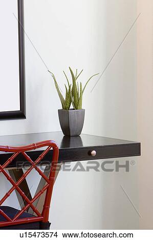 Plant on desk View Large Photo Image Picture - Plant on desk. Fotosearch