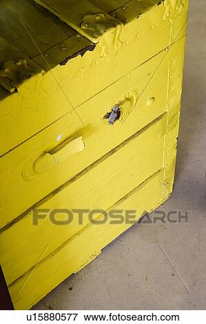 Yellow painted trunk View Large Photo Image Stock Photo - Yellow painted trunk. Fotosearch