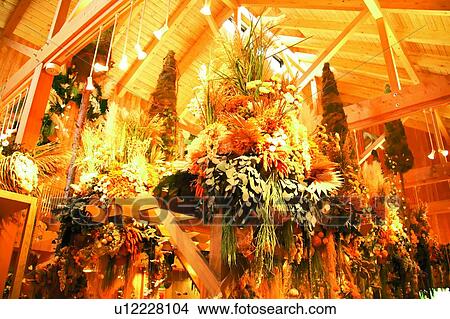 Picture - Dried Flower House in Farm Tomita, Furano, Hokkaido, Japan. Fotosearch