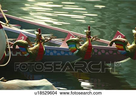 Women's Dragon Boat View Large Photo Image Picture - Women's Dragon Boat. Fotosearch