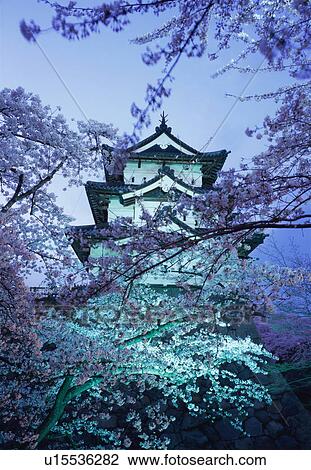 Hirosaki Castle in spring View Large Photo Image Stock Image - Hirosaki Castle in spring. Fotosearch