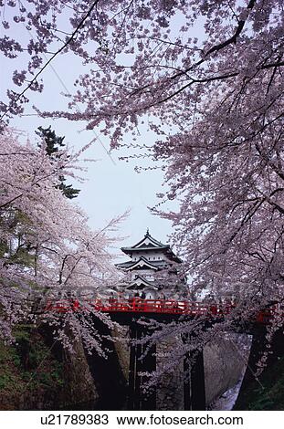 Hirosaki Castle in spring View Large Photo Image Stock Image - Hirosaki Castle in spring. Fotosearch