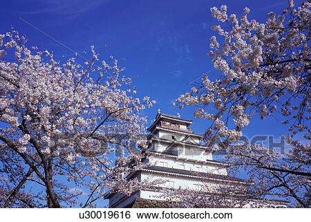 Tsuruga Castle in Fukushima Prefecture, Japan View Large Photo Image Stock Photograph - Tsuruga Castle in Fukushima Prefecture, Japan. Fotosearch