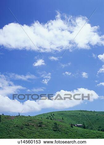 Stock Image - Green field and blue sky. Fotosearch