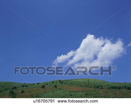 Green field and blue sky View Large Photo Image Stock Image - Green field and blue sky. Fotosearch