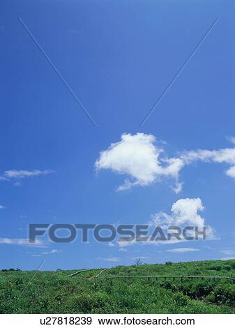 Green field and blue sky View Large Photo Image Stock Photo - Green field and blue sky. Fotosearch
