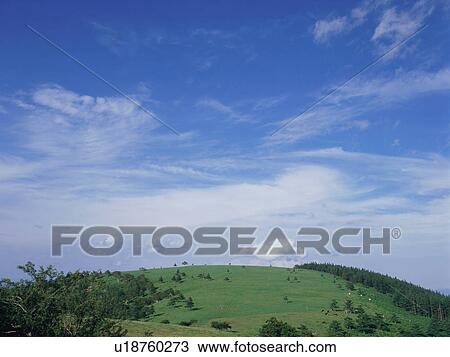 Green field and sky View Large Photo Image Stock Image - Green field and sky. Fotosearch