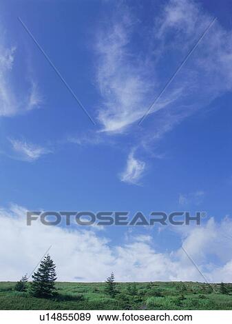 Stock Photo - Green field and sky. Fotosearch