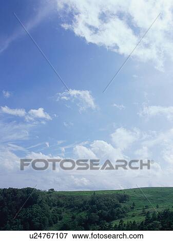 Stock Photo - Green field and sky. Fotosearch