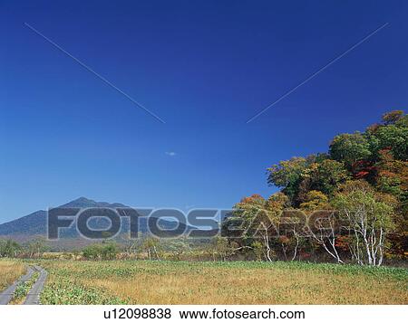 Ozegahara, Gunma Prefecture, Japan View Large Photo Image Stock Photo - Ozegahara, Gunma Prefecture, Japan. Fotosearch