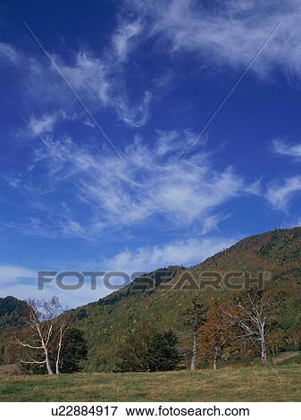 Stock Photo - Shiga Plateau, Nagano Prefecture, Japan. Fotosearch